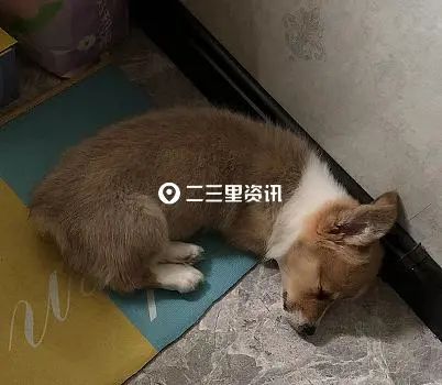 DƬ